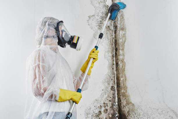 Best Crawl Space Mold Removal  in Pacific, MO