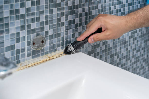Best Mold Testing and Removal  in Pacific, MO