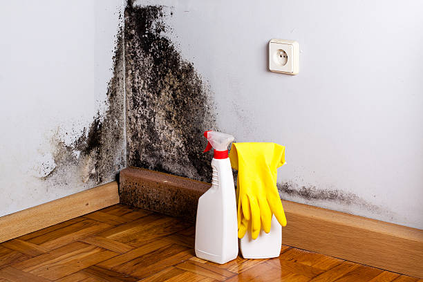 Best Crawl Space Mold Removal  in Pacific, MO